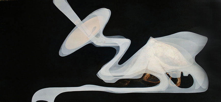 Hybrid Transmissions [ Octopus / Satellite Dish ], Ryan Hackett, 2011