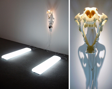 Synthetic Tiger Skull with Artificial Sunlight Pads and Sound (overview), by Ryan Hackett