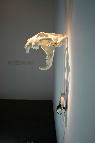 Synthetic Tiger Skull with Artificial Sunlight Pads and Sound (detail), by Ryan Hackett