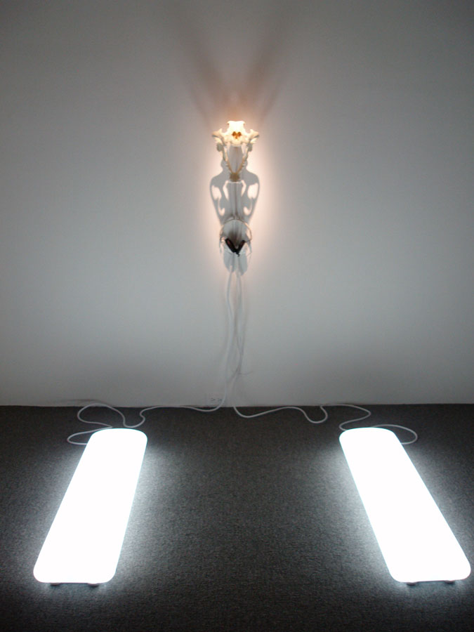 <em>Synthetic Tiger Skull with Artificial Sunlight Pads and Sound</em><br />Ryan Hackett, 2009